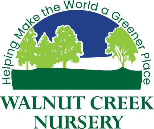 Walnut Creek Nursery